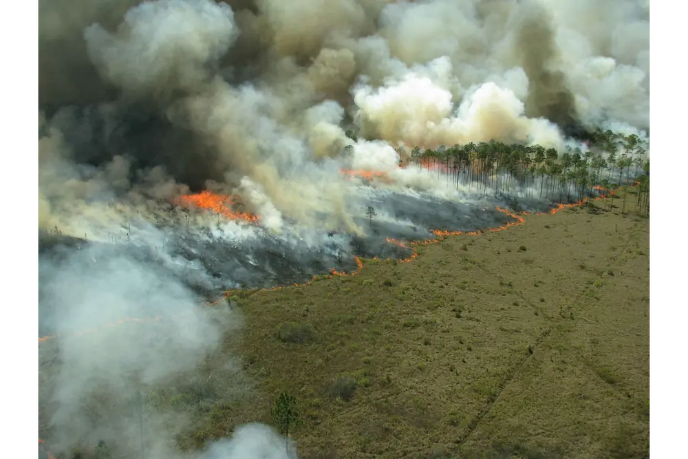 Fire Spread Monitoring